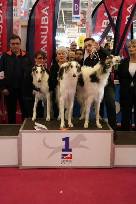 MEDAILLE D'OR POUR LE LOT D'AFFIXE